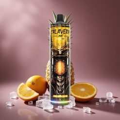 Ananas-Eis JNR Calavera 11000 Puffs Österreich Großhandel Typ-C & 1,0 Ohm Mesh Coil