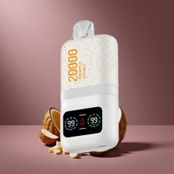 Ananas-Kokos Aivono AIM MAGIC 20000 Puffs Österreich Großhandel Dual Mesh Coils LCD Display