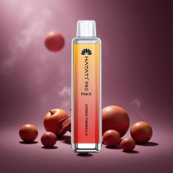 Atomarer Feuerball Hayati Pro Max 4000 Züge Österreich Großhandel Dual 1,1 Ohm Mesh Coil