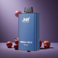 Blau Geschmack JNR Mega Box 25000 Züge Österreich Großhandel Dual Mesh Coil & Dual Core