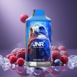 Blau-Razz Eis JNR Falcon 16000 Züge Österreich Großhandel Dual Mesh Coil 22ml