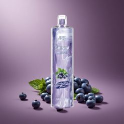 Blaubeer-Minze JNR Shisha Hookah 12000 Puffs Österreich Großhandel 24ml E-Liquid