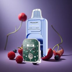 Blaubeere-Himbeere-Eis JNR Vape Watch 30000 Züge Österreich Großhandel Dual Mesh Coil 19mL