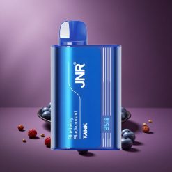 Blaubeere Schwarze Johannisbeere JNR Tank 10000 Züge Österreich Großhandel Dual Mesh Coil Type-C