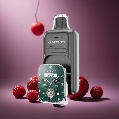 Dreifach Beere JNR Vape Watch 30000 Züge Österreich Großhandel Dual Mesh Coil