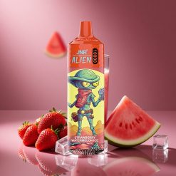 Erdbeere Wassermelone Eis JNR Alien 10000 Züge Österreich Großhandel 850mAh Typ-C Schnellladung