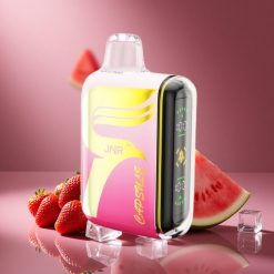 Erdbeere Wassermelone Eis JNR Capsule 15000 Züge Österreich Großhandel Dual Mesh Coil 20ml