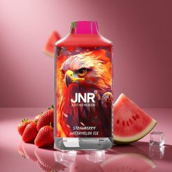 Erdbeere Wassermelone Eis JNR Falcon 16000 Züge Österreich Großhandel Dual Mesh Coil & Smart LED Display