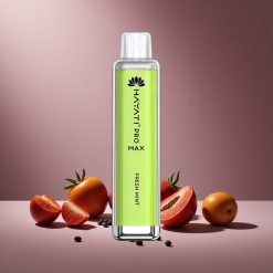 Frische Minze Hayati Pro Max 4000 Züge Österreich Großhandel Dual 1.1 Ohm Mesh Coil