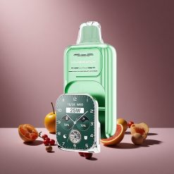 Miami Minze JNR Vape Watch 30000 Züge Österreich Großhandel Dual Mesh Coil