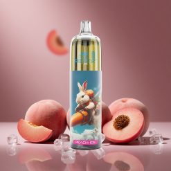 Pfirsich-Eis JNR Rocket-X 12400 Puffs Österreich Großhandel mit RGB-Lichtern und Typ-C Schnellladung