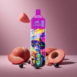 Pfirsich-Heidelbeer-Bonbon JNR Alien Max 18000 Züge Österreich Großhandel Dual Mesh Coil & Dual Core