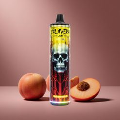 Pfirsich-Mango JNR Calavera 11000 Puffs Österreich Großhandel Typ-C Ladung 21ml E-Liquid